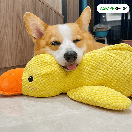 Ducky - Anatra indistruttibile per cani