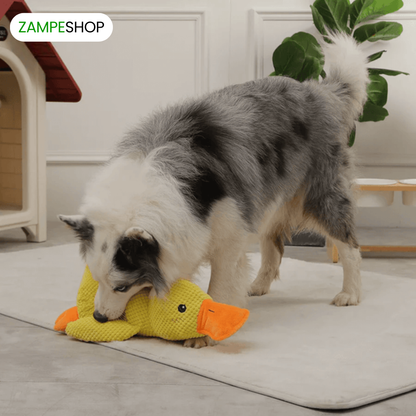 Ducky - Anatra indistruttibile per cani