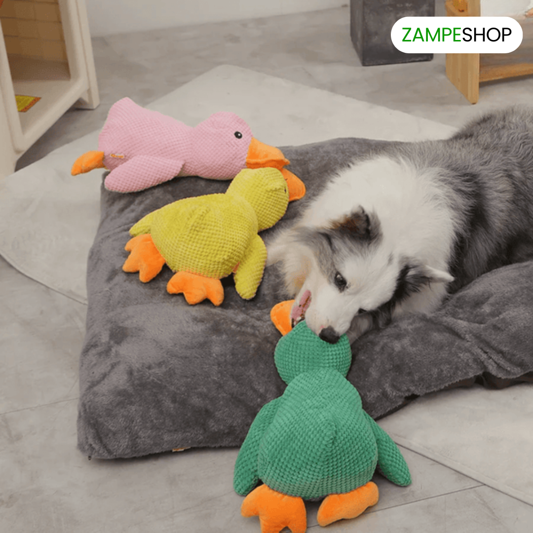 Ducky - Anatra indistruttibile per cani