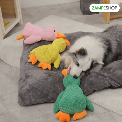 Ducky - Anatra indistruttibile per cani