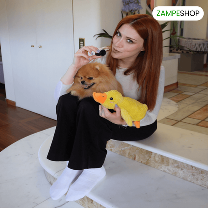Ducky - Anatra indistruttibile per cani