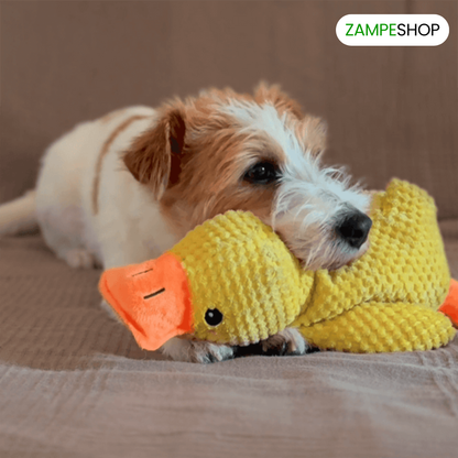 Ducky - Anatra indistruttibile per cani