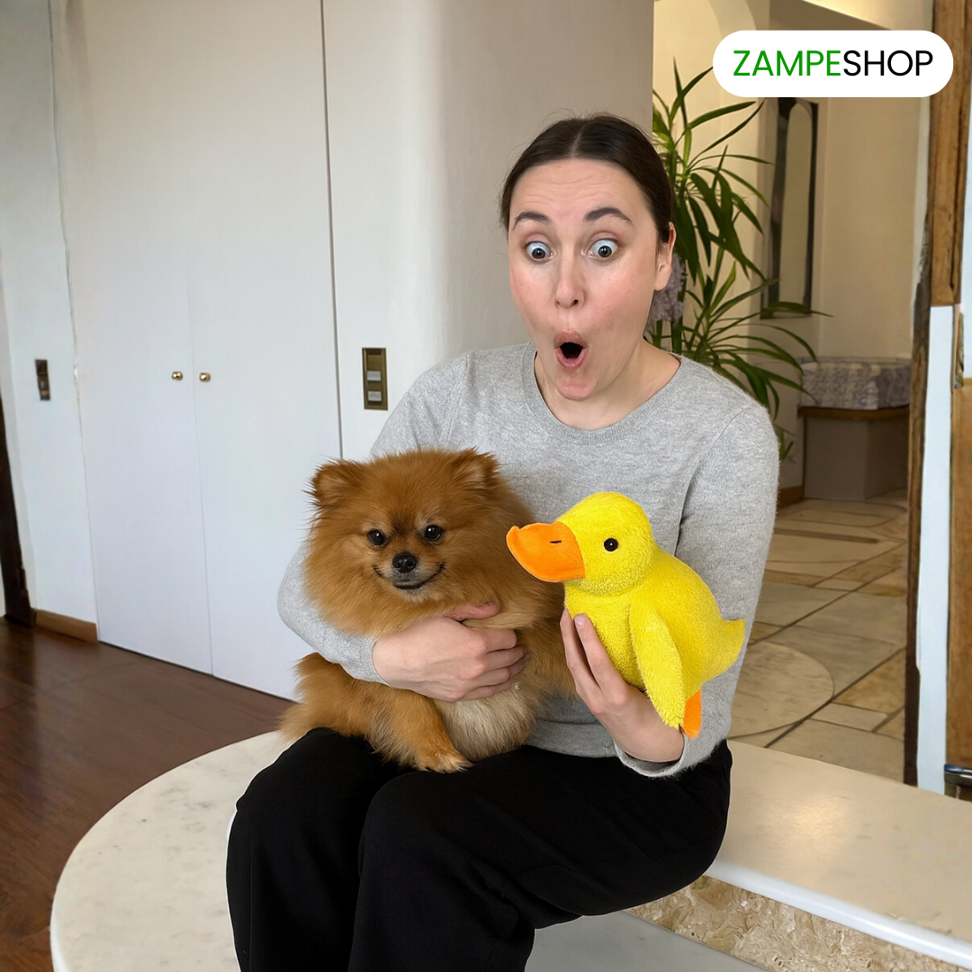 Ducky - Anatra indistruttibile per cani