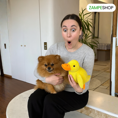 Ducky - Anatra indistruttibile per cani