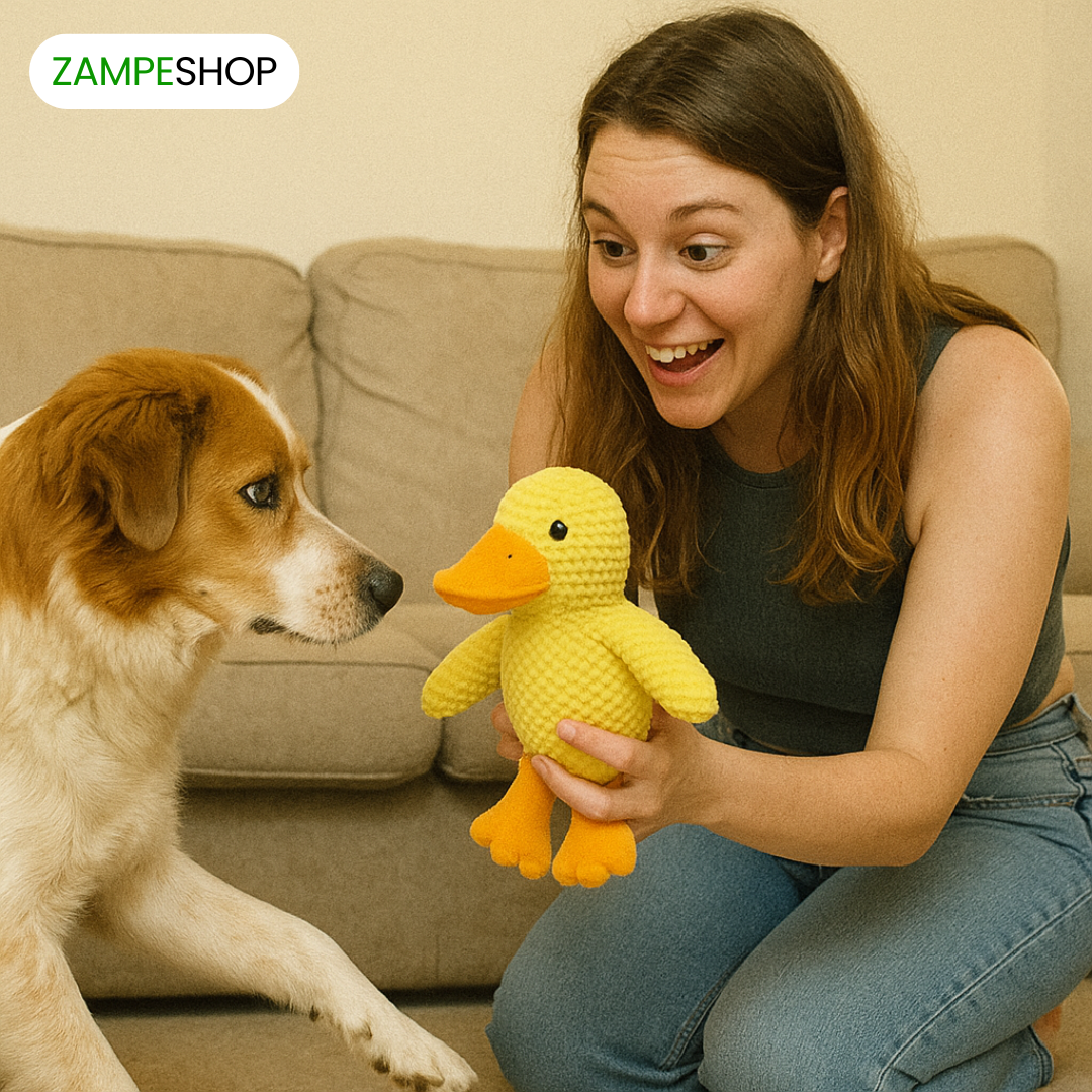 Ducky - Anatra indistruttibile per cani