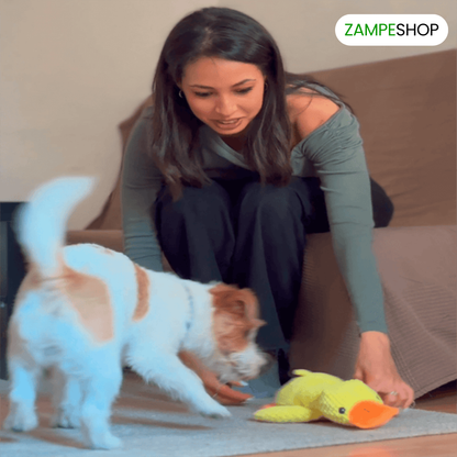 Ducky - Anatra indistruttibile per cani