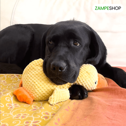Ducky - Anatra indistruttibile per cani