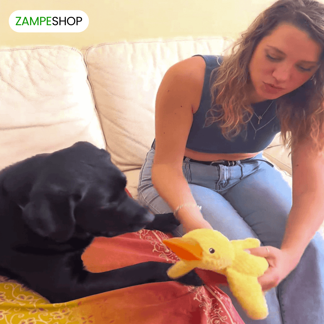Ducky - Anatra indistruttibile per cani