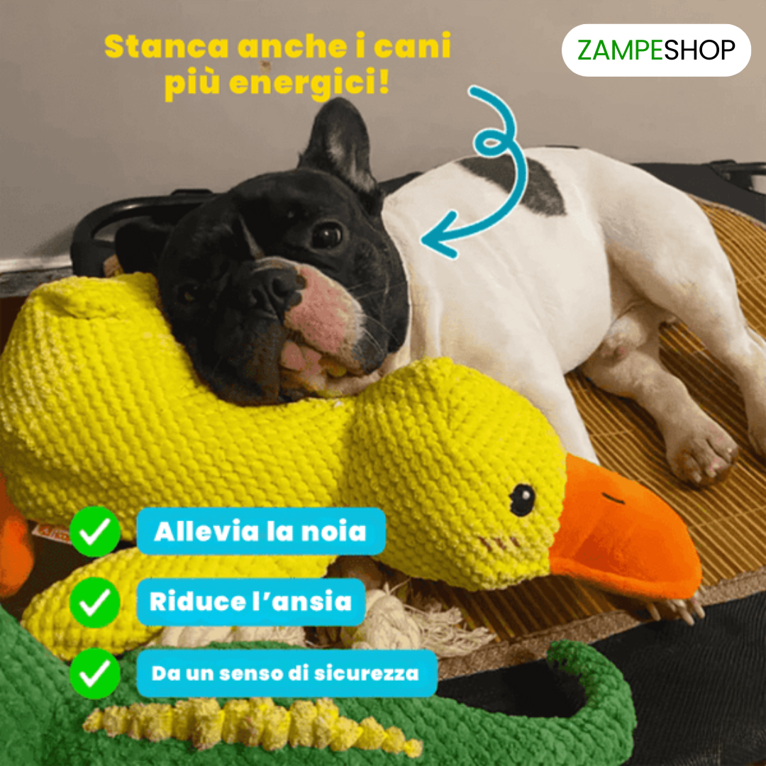Ducky - Anatra indistruttibile per cani