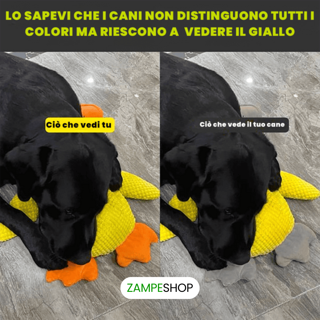 Ducky - Anatra indistruttibile per cani